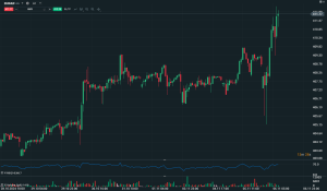 Borul a forint