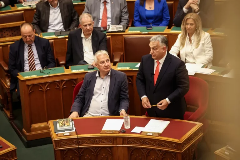 1750165385-temp-PNnaOd_cimlap-normal