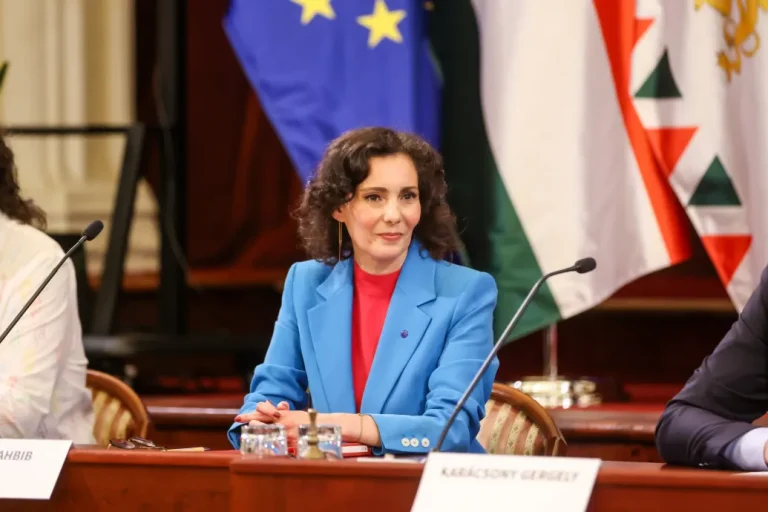 Az Európai Bizottság elutasítja, hogy kormányellenes tiltakozásokat ösztönzött volna Budapesten