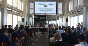 Barriere stradali, Ansfisa: più manutenzione e controlli per garantire la sicurezza