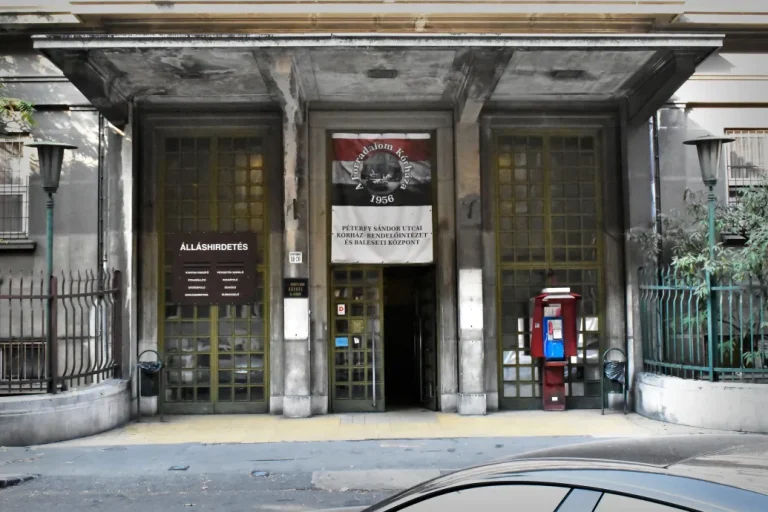 Karácsonyra mutogat a Péterfy kórház a csótányügyben