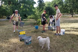 Kipróbáltuk, hogy milyen hétről hétre száz liter vizet cipelni a szomjazó fákhoz