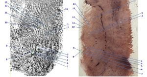 Garlasco, niente svolta dalle impronte: "Impossibile estrarre il Dna"