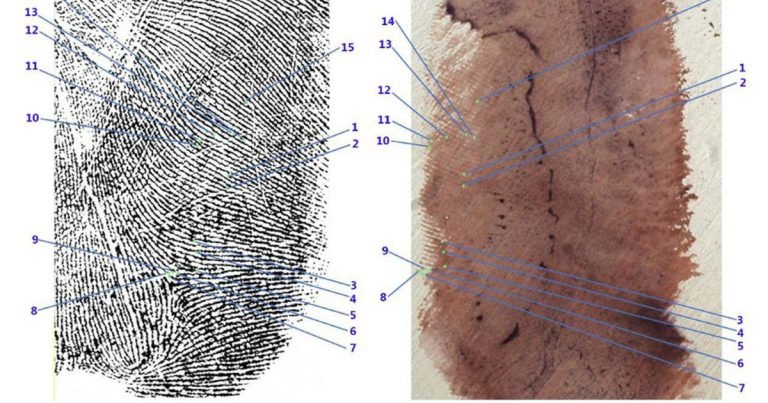 Garlasco, niente svolta dalle impronte: "Impossibile estrarre il Dna"