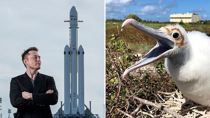 Ez már Trump bosszúja Musk ellen, vagy tényleg csak természetvédelem?