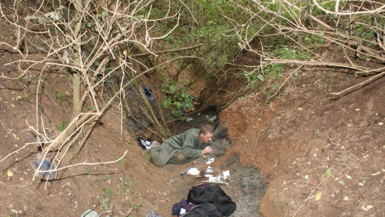 Elképesztő méretű dinoszauruszcsont-lelőhelyet találtak Erdélyben