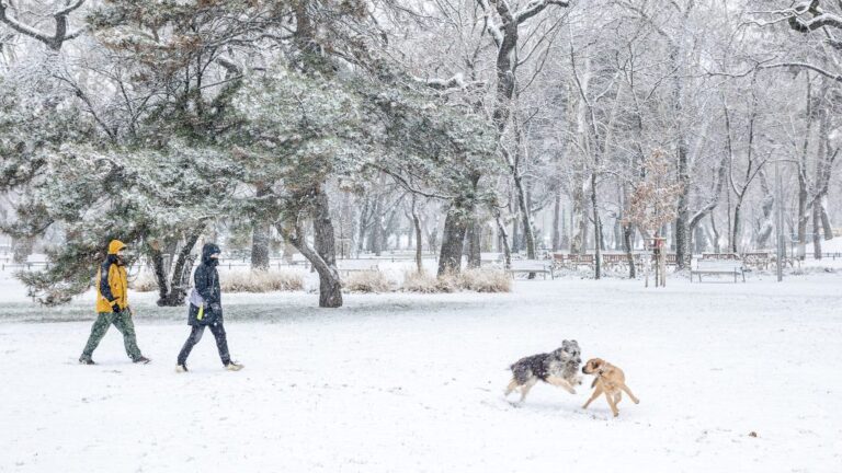 A Tisza Párt nem tud bevezetni ebadót, a Fidesz már beelőzte