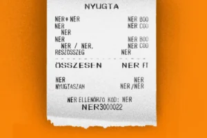 Mennyibe kerül nekünk a NER?