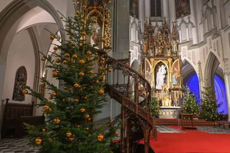 Isten nem palotában, hanem kunyhóban van jelen, és ez igaz a Szőlő utcára is