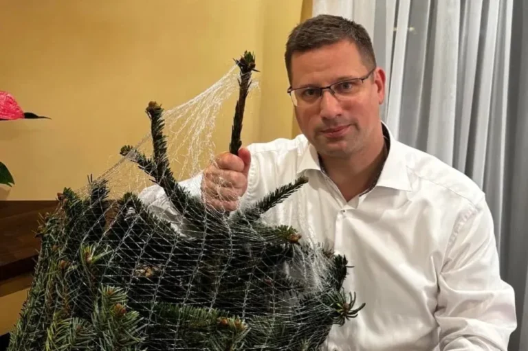 Egy év kihagyás után visszatért Gulyás és karácsonyfa – így ünnepelnek a politikusok