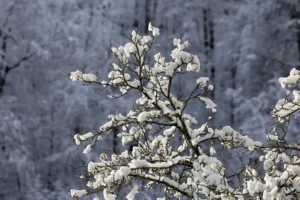 Több helyen is havazhat az év utolsó napján