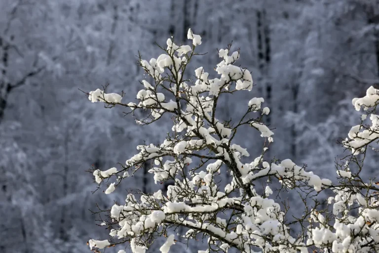 Több helyen is havazhat az év utolsó napján