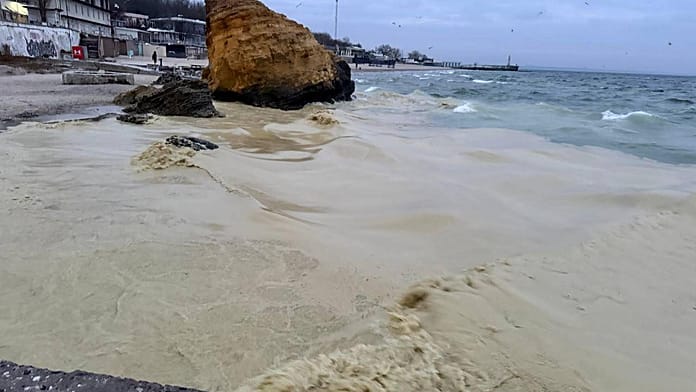 Több tonna olaj került a Fekete-tengerbe az Odesszára mért orosz csapások után: madarak pusztulnak el