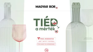 Tiéd a mérték – amikor a bor élmény, nem mennyiség