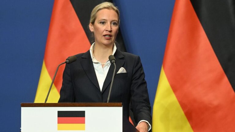 Rekordmagasságban az AfD népszerűsége Németországban