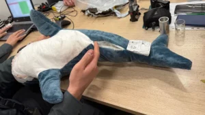 Jól gondolja meg, ha külföldről rendelne ajándékot – elképesztő veszélyekre és hiányosságokra bukkantak a hazai hatóságok