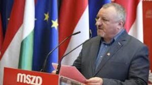 Vissza a gyökerekhez!