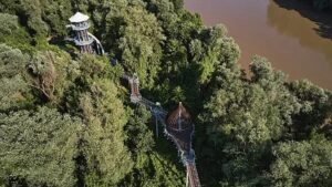 Visszaéléseket tárt fel magyarországi projekteknél az OLAF