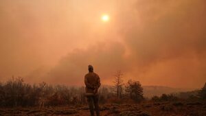 Szükséghelyzet Argentínában a patagóniai erdőtüzek miatt