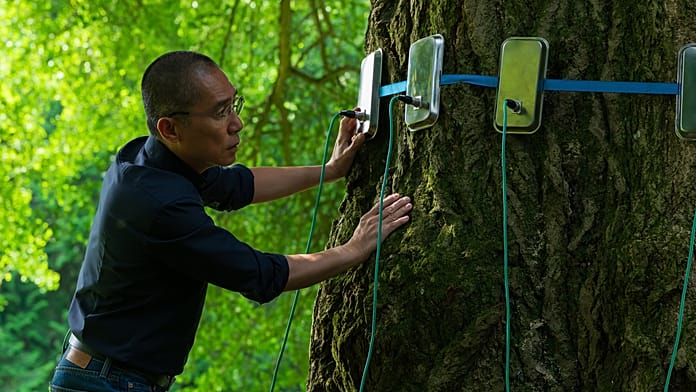 ,,Enyedi Ildikó filmjei a magyar kultúra közkincsei" – interjú a Csendes barát producerével