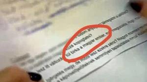 Lebirkázták a magyarokat – hatalmas botrány az újpesti Tisza-jelöltek videója körül