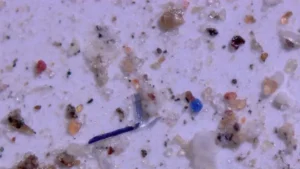 Újabb probléma derült ki a mikroműanyagokról