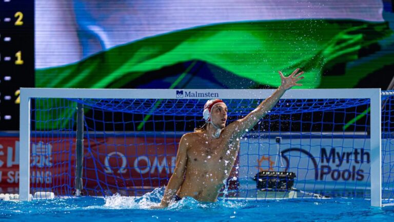 Vogel Soma: a magyar-szerb párharc keményebb, mint az El Clásico