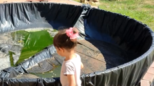 Csigákat akart megnézni, de beesett a medencébe, kétszer kellett újraéleszteni a kislányt