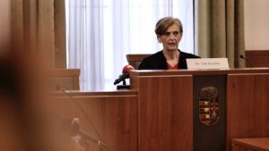 „Azóta is csak arra gondolok, hogyan lehettem képes erre” – négy év börtönre ítélték az anyját szétkaszaboló csepeli óvónőt