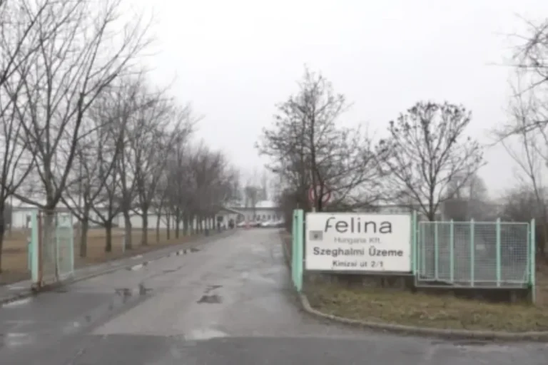 Hónapok óta nem kaptak fizetést a Felinánál, csoportosan mondanak fel a dolgozók