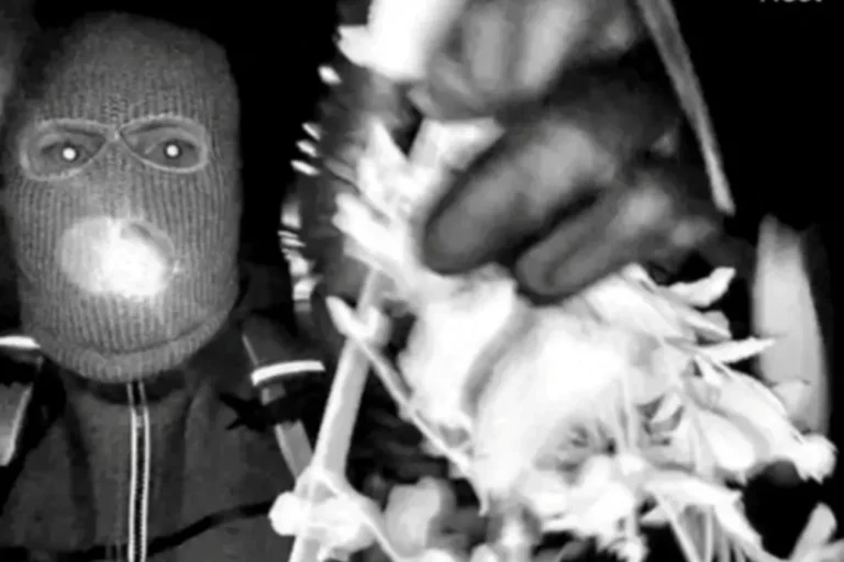 Símaszkos férfi, vérnyomok az ajtónál, váltságdíjlevél – másfél hete tartja lázban Amerikát az ismert műsorvezető anyjának elrablása