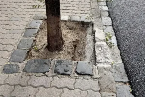 Mintha felnevelnének egy elitiskolában, aztán elküldenének Guantánamóra