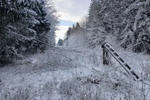 Több mint egy napja nincs áram Vas vármegye egyes részein, olvasónk szerint a segélyhívót sem érik el