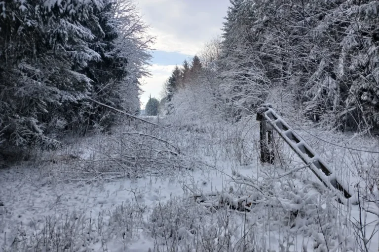 Több mint egy napja nincs áram Vas vármegye egyes részein, olvasónk szerint a segélyhívót sem érik el