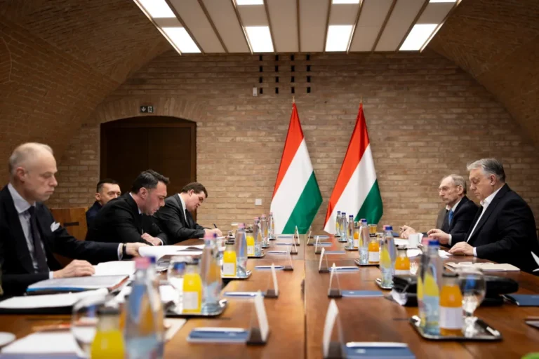 Fearing Ukrainian operation, Orbán deploys troops to guard key energy facilities