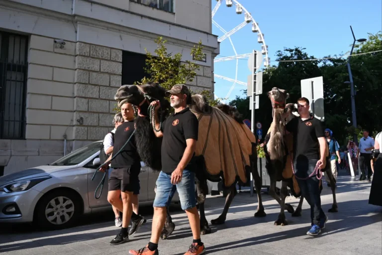 Magyarország előre menjen, ne hátra a klímacéljaival