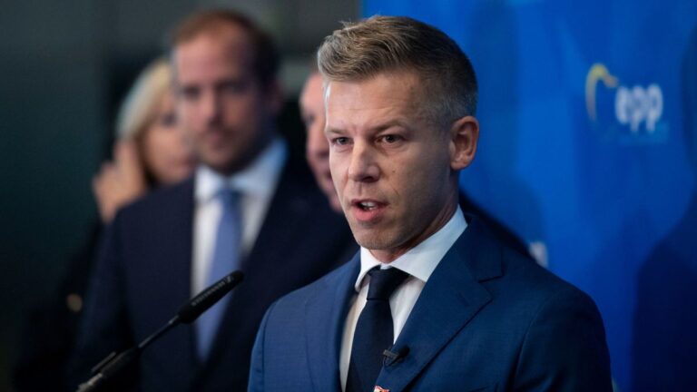 Zelenszkij kedvenc újságírója is arról beszél a Tisza Párt kapcsán, amiről a Fidesz + videó