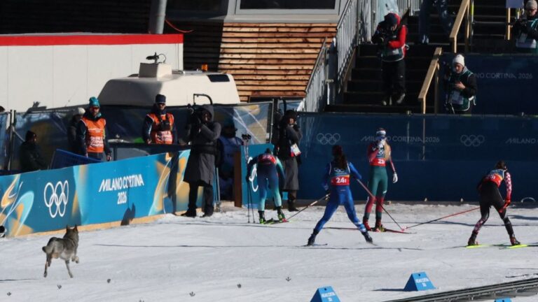 Farkasnak nézte az őt üldöző kutyát, nagyon megijedt a horvát sífutónő + videó