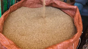 Erre a szupergabona fogyasztására esküsznek az olimpiai bajnokok is