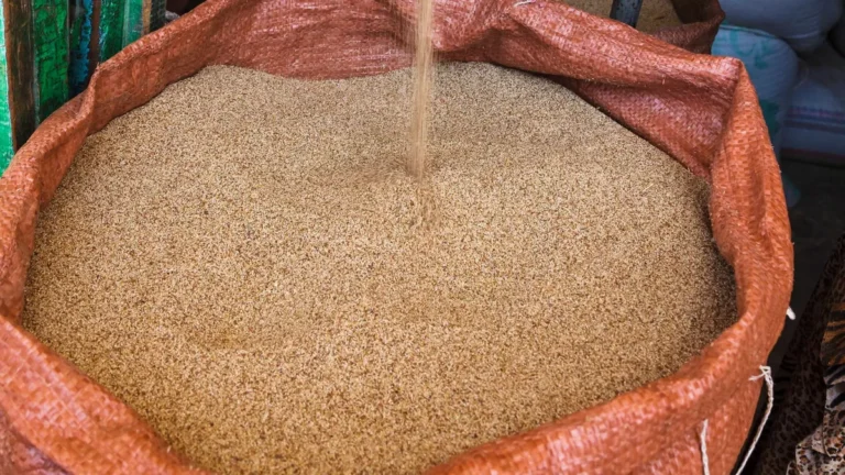 Erre a szupergabona fogyasztására esküsznek az olimpiai bajnokok is