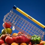 Olyan bevásárlókocsit mutatott a Lidl, hogy a divattervezők is tátott szájjal nézik – képek