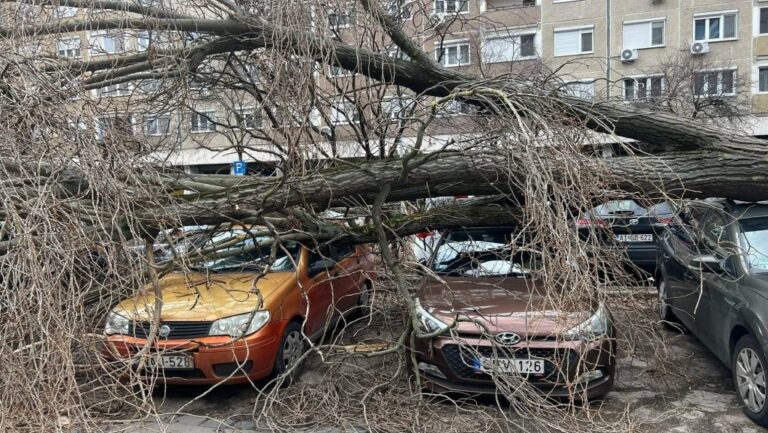 Négy-öt autót összenyomott egy kidőlt fa Békásmegyeren