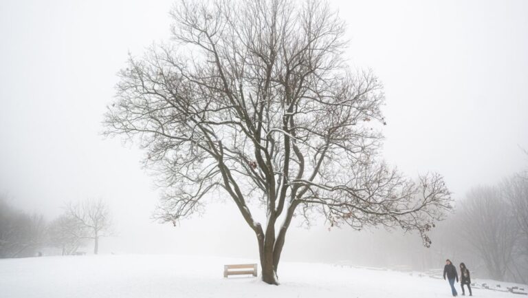 Komoly havazásra és hófúvásra figyelmeztetnek