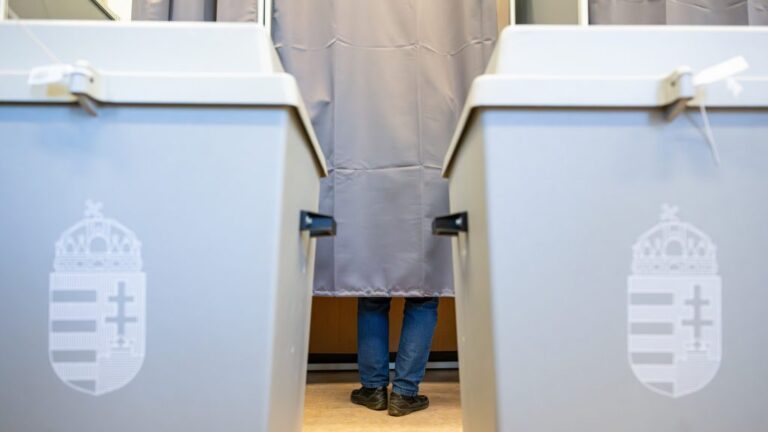 Több külföldön élő választó nem tudott a DÁP-on regisztrálni a választásra