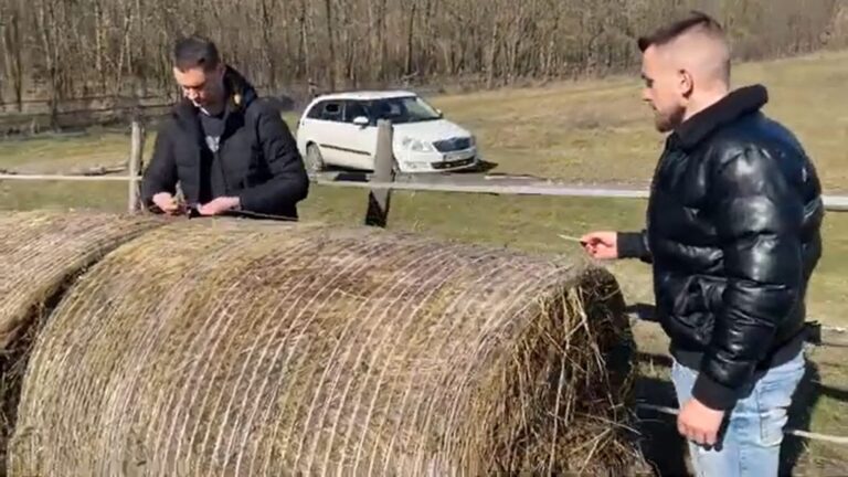 A rendőrség kijött, és nemzeti szalaggal lefoglalta a lómenhely szénabáláit