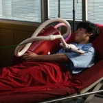 Bemutatom feleségem, a porszívót