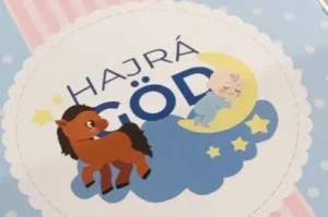 A választási bizottság szerint rendben van, hogy Tuzson Bence osztogatja az önkormányzati babacsomagokat