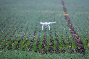 Nem tudnak permetezni a gazdák Szabolcsban, mert dróntilalom van az állítólagos ukrán fenyegetés miatt