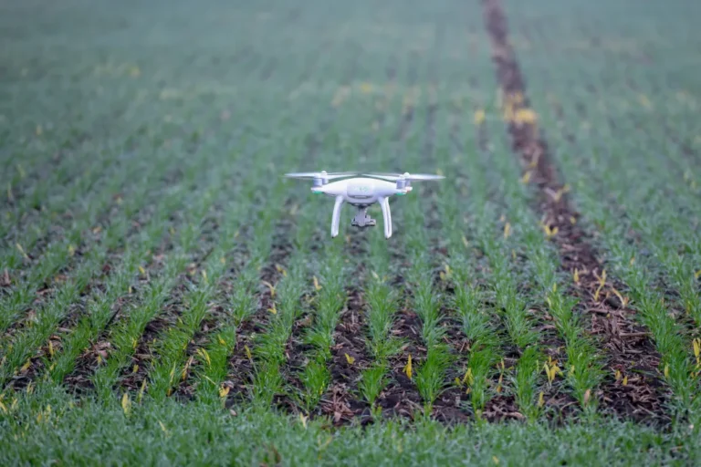 Az állítólagos ukrán fenyegetés miatt elrendelt dróntilalom miatt most nem tudnak permetezni a gazdák Szabolcsban