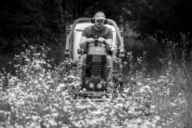 A botanikus kert titkos élete